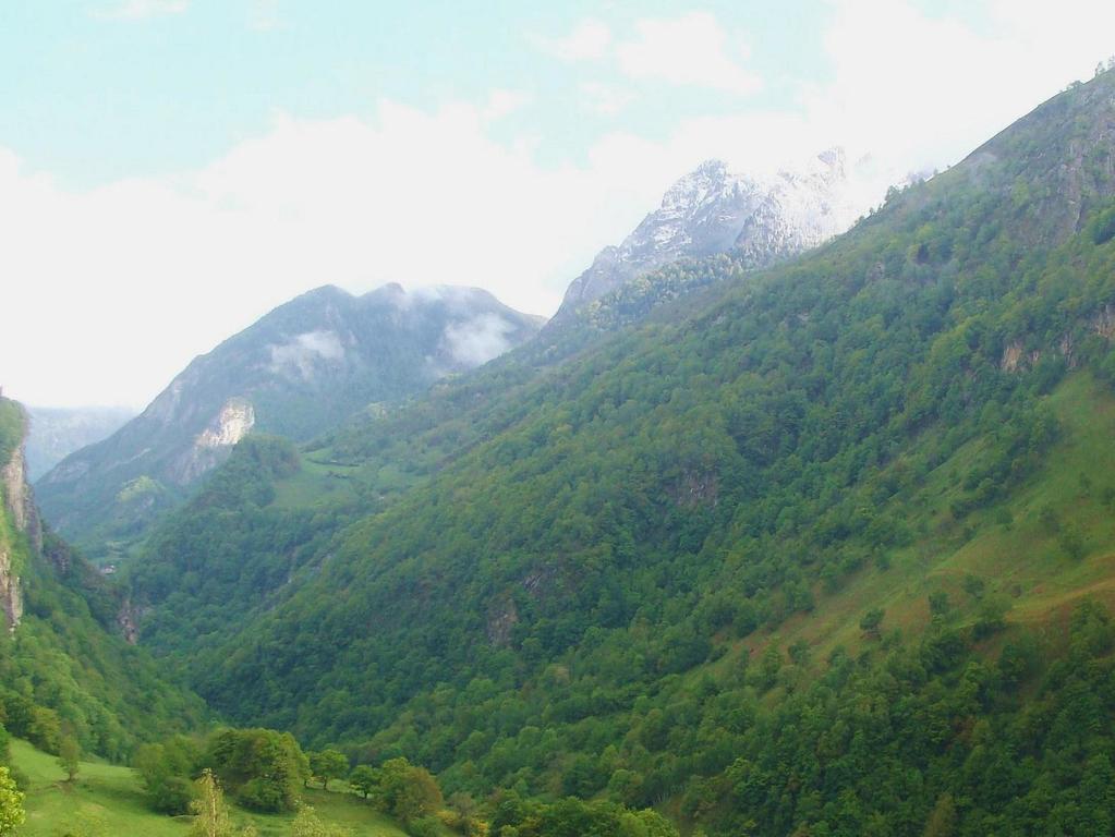 Chateau D'Arance Hotel Cette-Eygun Luaran gambar